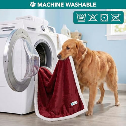 PetAmi Dog Blanket Small Medium Pet Cat Puppy Kitten, 40x29 Mini, Dark Red | 460 GSM, Soft Sherpa Fleece Throw, Reversible Plush Couch Cover Protector Crate Carrier Sofa Bed Car Seat, Machine Washable - color: Wine, size: Medium - 29 X 40 Inches