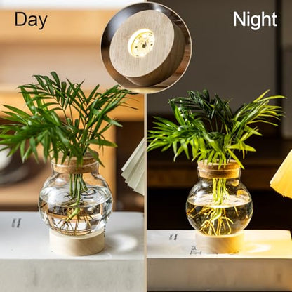 Propagation Stations, Plant Propagation Station with Light Base, Glass Propagation Vases, Hydroponic Vase for Plants, Glass Terrarium for Home Office Windowsill Tabletop Decoration (2)