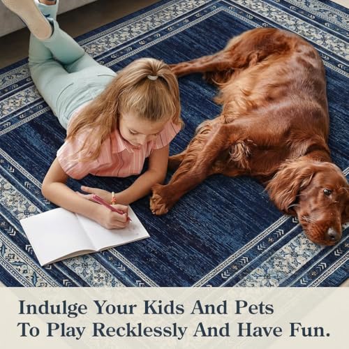 Modern Solid Area Rug 5x7 Washable Non Slip Neutral Rugs for Living Room, Non-Shedding Stain Resistant Bordered Throw Carpet, Neutral Foldable Floor Rugs for Bedroom Dining Table, Blue | Non Slip Neutral Border Non Shedding Stain Resistant Low Pile Foldab