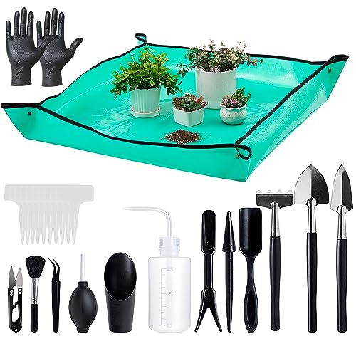 Indoor Plant Pots and Succulent Tools