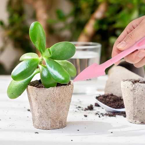 M METERXITY 2-Set Succulent Tools, Plastic 2-in-1 Mini Garden Shovel Hand Succulent Transplanting Tools Garden Shovel Transplant Trowel for Planting/Digging/Aerating/Sowing [Green,Pink] - color: Green,Pink