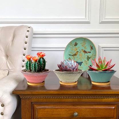 6 Inch Glazed Terracotta Succulent Pot Planter Small Plant Pot with Drainage Hole and Bamboo Saucer Cactus Ceramic Pot Set of 3 (Light Green Pink White)