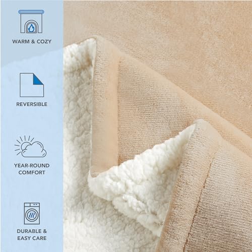 Arkwright Sherpa Fleece Throw Blanket - Plush Fluffy Warm Reversible Soft Sherpa Throw Blanket for Home, Couch, Sofa, Bed, Camping and Travel, 68x90 in, Twin, Tan - color: Irish Cream Tan, size: Twin (68x90) Pack of 1