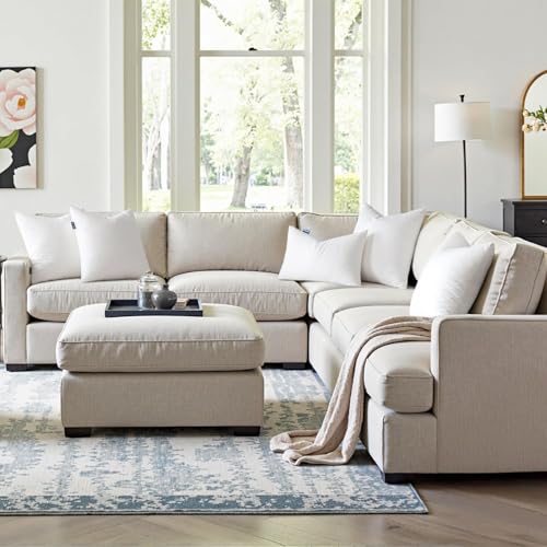MIULEE 24x24 Down Alternative Pillow Insert Euro Decorative Throw Pillow 24 x 24 Inch Body Bed Sleeping Ultra Soft Fluffy Form for Sofa Couch Bed (Pack of 2) - size: 24x24Inch (pack of 2)