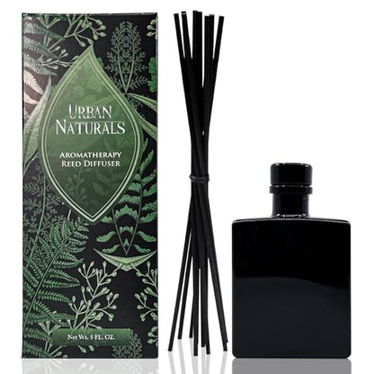 Reed Diffuser Set, BlackBerry Vanilla - Bathroom Shelf Décor | Ripe Blackberries, Warm Vanilla & Patchouli, 5 ounce Sleek Black Rectangular Refillable Glass Bottle, Made in the USA - color: Blackberry Vanilla