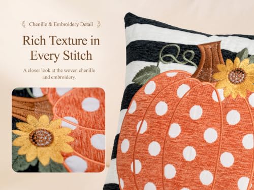 Embroidery Fall Pumpkin Pillow Covers Set of 2(Black & White,20x20) | Soft chenille, black-and-white stripe design, applique pumpkin and sunflower embroidery, hidden zipper, for sofa and bed - size: 20" x 20" (Pack of 2)