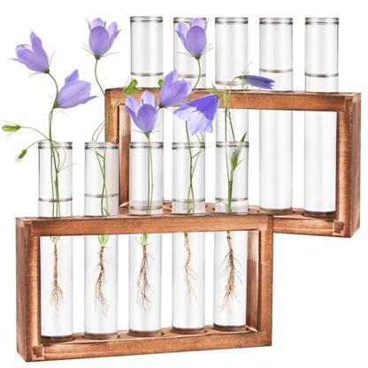 Tigvio 2pcs Desktop Glass Plant Propagation Station (10 Tubes) | with 10 Test Tubes in Wooden Stand, Hydroponic Plants Cutting Office Home Decoration and Garden Decor Terrarium - size: 10 Tubes