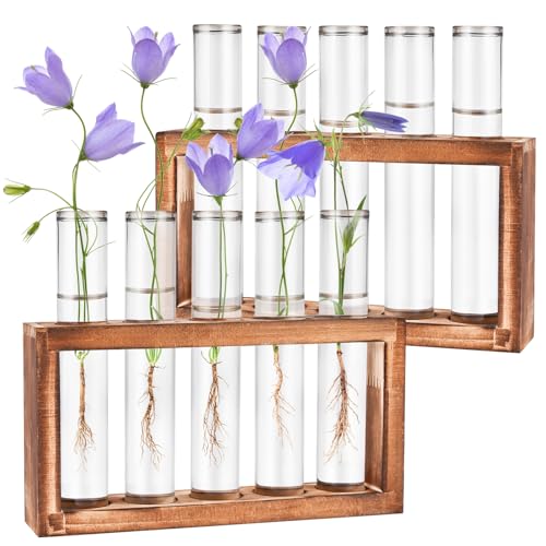 Tigvio 2pcs Desktop Glass Plant Propagation Station (10 Tubes) | with 10 Test Tubes in Wooden Stand, Hydroponic Plants Cutting Office Home Decoration and Garden Decor Terrarium - size: 10 Tubes