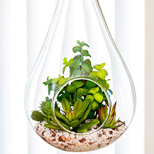 Restaurantware-7.9 x 12.6 Inch Hanging Terrarium With Faux Succulent, 1 Artificial Succulent - In Hanging Glass Terrarium, With Knotted Hemp Rope, Plastic Hanging Succulent, Patio Or Home Decor