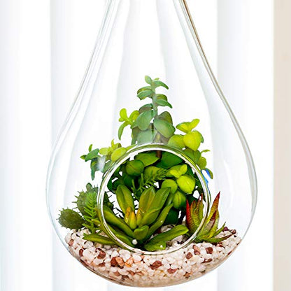 Restaurantware-7.9 x 12.6 Inch Hanging Terrarium With Faux Succulent, 1 Artificial Succulent - In Hanging Glass Terrarium, With Knotted Hemp Rope, Plastic Hanging Succulent, Patio Or Home Decor