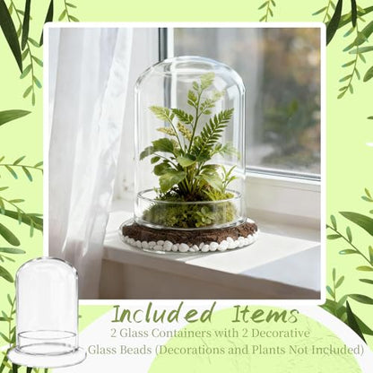 2 Pcs 5.9 x 8.46 Inch Glass Terrarium with Airhole and Base Clear Glass Dome Planter Display Container Plants Not Included for Office Desk, Balcony, Coffee Table