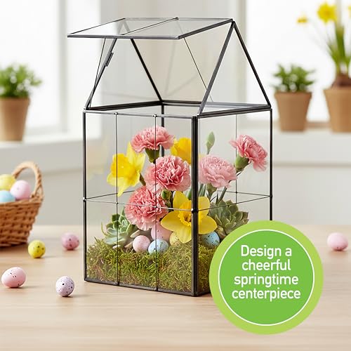 D'Eco Large Glass Plant Terrarium, Centerpiece & Wedding Letterbox Display | Tabletop Geometric Planter Terrarium, Fill with Succulents, Moss, Air Plants, Ferns, Home & Office Decor, Dims:6x5x11"