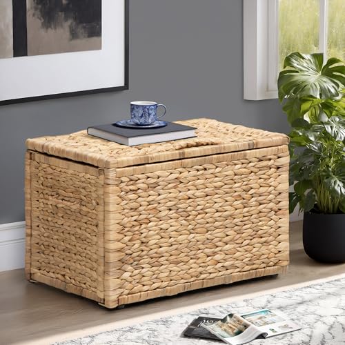 Storage Trunk with Metal Frame, Natural, 20.5 by 14.8 by 13.4 Inches | Safety Hinge, Heavy-duty Wicker Chest, Handwoven Water Hyacinth - color: Natural (Hyacinth), size: 20.5" x 14.8"