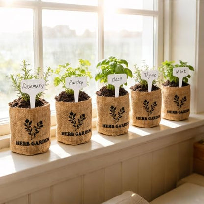 Meekear 5 Herb Indoor Starter Kit, Complete Planting Set for Kitchen Herb Garden DIY & Gift