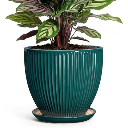 Ceramic Flower Pots, 6 Inch Planters with Drainage Hole and Saucer, Decorative Round Plant Pots for Indoor Plants, Modern Succulent Pot, Office Bedroom Decor, Plant Lover Gifts, Blackish Green - size: 6 Inch, style: Blackish Green