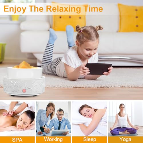 Wax Melt Warmer for Scented Wax Ceramic Wax Warmer Fragrances Candle Oils | Home Fragrance Wax Burner,True White Electric Candle Warmer as Gifts for Mom Women(Butterfly) - color: White Butterfly