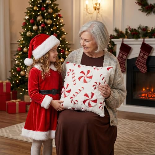 Tiamon 4 Pcs Christmas Throw Pillow Covers 18 x 18 Inch 3D Embroidered Plush Green Red Pillow Cases Christmas Tree Poinsettia Fluffy Faux Fur Cushion Covers for Sofa Couch Winter Holiday Party Decor - style: Christmas