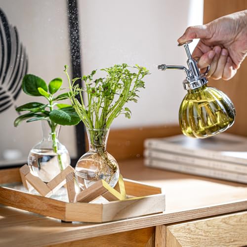 Propagation Stations, Propagation vases with Wooden Stand, Small Tabletop Glass Bulb Vases for Hydroponics Plant Propagation Station Home Office Decoration, Gift for Women Plant Lovers (2)