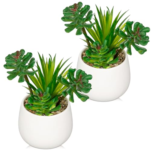Briful Artificial Succulents Plants in Ceramic Pots, 2 Pack Faux Succulent Set with White Planters – Modern Desk Decor for Home Office Shelf Bathroom, Small Fake Plants Potted - color: White# 2pcs