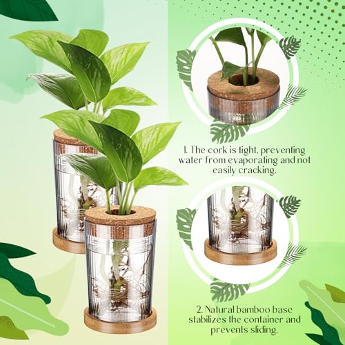 9 Packs Propagation Vases for Plants Plastic Plant Propagation Station with Hole Lid and Bamboo Stand Growing in Water Hydroponic Home Office Table Decoration(Stripe Style) - style: Stripe Style