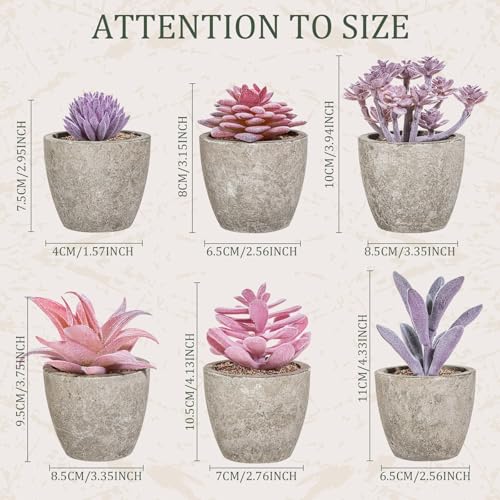 Set of 6 Artificial Succulents Potted - Realistic Mini Fake Cactus Plants in Paper Pulp Pots, 2-4'' Mixed Sizes for Farmhouse Shelf, Bathroom, Coatrack Shelf, Bedroom Indoor(Elegant Style) - style: Elegant Style