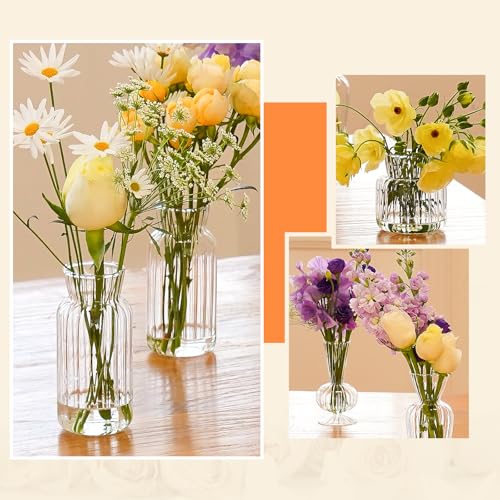 12 Pcs Ribbed Glass Bud Vases Set, 4 Styles Clear Small Flower Vases | Mini Vases in Bulk, Roman Column Vertical Ribbed Design for Wedding, Home Decor, Table Centerpieces, Party