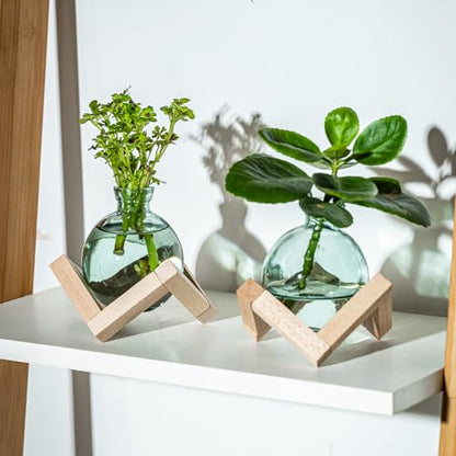 Plant Propagation Station, Plant Terrarium with Wooden Stand for Hydroponic Plant Propagation, Propagation Vases for Plants, Green Glass Bulb Vases for Home Office Decor (2)