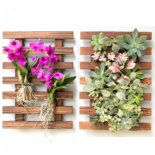 ShopLaLa Wall Planter (40cm, 2 Pack) Wooden Succulent Air Plant Wall Hanger | Orchid Planter Frame Display Outdoor Plants Wall Mount Holder Vertical Garden Plant Wall Decor Macetas para Orquideas - size: 40cm (15.7") x 2