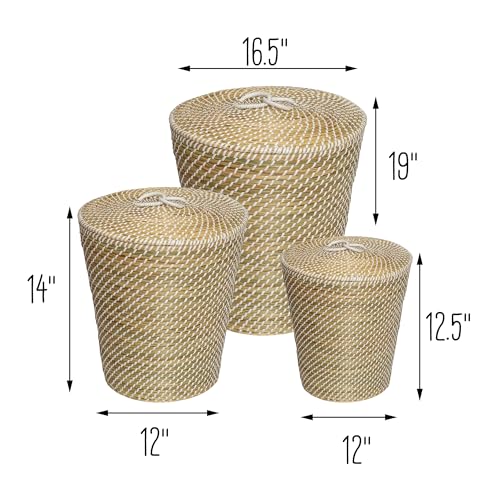 Honey Can Do Set of 3 Nesting Seagrass Snake Charmer's Baskets, Natural STO-08750 Natural