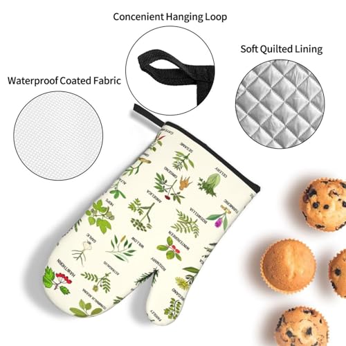 Cute Herbs Botanic Garden Plants Oven Mitts and Pot Holders Sets Heat Resistant for Kitchen BBQ Microwave Baking Grilling Cooks Set of 3 Kitchen Oven Glove - color: Cute Herbs