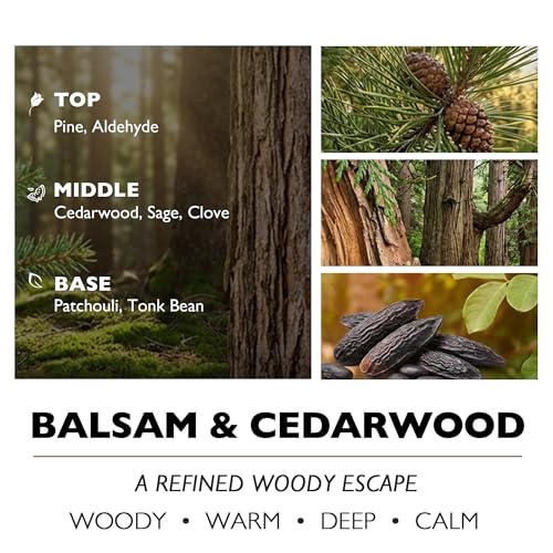 HomeLights Highly Scented Soy Candles Big 33.3 oz for Home. 3 Cotton Wicks, Smokeless Long Lasting 130 hrs in Balsam & Cedar. 5x6, Great Gift for Women & Men - color: Balsam & Cedar