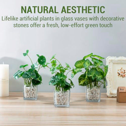 MyGift Artificial Clover and Taro Plants in Clear Glass Vase with Decorative White Stones, Set of 3 - color: Clear (White Pebbles)