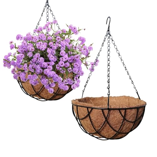 MTB Supply 2 Pack 10 Inch Garden Hanging Baskets Vintage Geo with Coco-Liner for Home Balcony Patio Decoration Outdoor Hanging Planter - size: 10" Geo 2pack