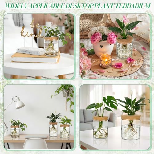 6 Pcs Glass Plant Propagation Stations (2 Large + 2 Medium + 2 Small) Hydroponic Flower Vases Desktop Plant Terrarium Jar for Cuttings, for Living Room, Bedroom, Home Decoration