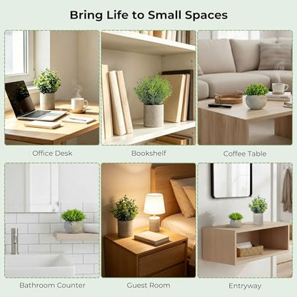 Small Artificial Plants in Pots, Faux Plants Indoor Small with Cement Pots for Desk, Shelf & Office Decor, Fake Plants Indoor Decorative Set of 4