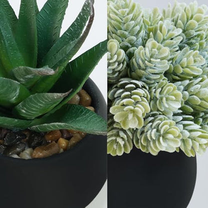 Winlyn Set of 3 Artificial Succulent Plants in Black Concrete Pots Faux Aloe Hops String of Pearls Potted Plants Small Fake Plants Desk Plants for Home Office Desk Kitchen Bathroom Shelf Windowsill - color: Black Pots
