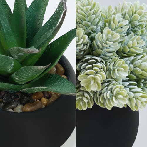 Winlyn Set of 3 Artificial Succulent Plants in Black Concrete Pots Faux Aloe Hops String of Pearls Potted Plants Small Fake Plants Desk Plants for Home Office Desk Kitchen Bathroom Shelf Windowsill - color: Black Pots