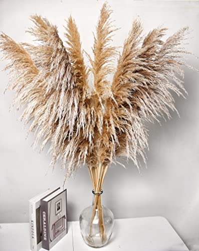 Bannifll 40" inch 10 Stems Pampas Grass Decor Tall, Dried Plants, Natural Dried Flowers for Wedding, Natural Home Decor, Wall Grass, Glam Decor, 10pcs-40inch - color: 10pcs-40inch