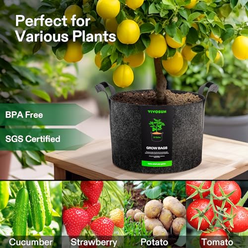 VIVOSUN 5-Pack 30 Gallon Plant Grow Bags Fabric Pots with Handles | 300G Thickened Nonwoven Fabric, Excellent Drainage, Healthy Root Growth, BPA-Free, Reusable - color: Black, size: 30 Gallons