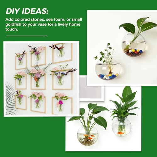 DomeStar Set of 2 Wall Vases, Wall Mounted Propagation Station | Hanging Glass Vases, Terrarium Station for Hydroponics, Plants Home Office Decor (5 Inch) - size: 2pcs