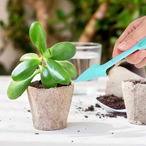 M METERXITY 2-Set Succulent Tools, Plastic 2-in-1 Mini Garden Shovel Hand Succulent Transplanting Tools Garden Shovel Transplant Trowel for Planting/Digging/Aerating/Sowing [Blue] - color: Blue
