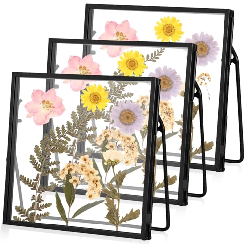3 Pack Glass Pressed Flower Frame Handmade, 4 x 4 floating Picture Frames for Pressed Flowers, Brass Double Glass for Tabletop Display, Home Office Plant Specimen, Photos(Black) - color: Black, size: 4 x 4 Inches
