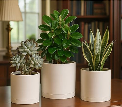 D'vine Dev 3-Pack Plastic Pots & Saucers, 6/6.5/8 in, Oatmeal, 74-V-H-3 | Multi-Size Options, Lightweight Durable, Matte Finish, Cylinder Shape, Drainage Holes, Sleek Design, Detachable Saucer - color: Oatmeal, size: Medium