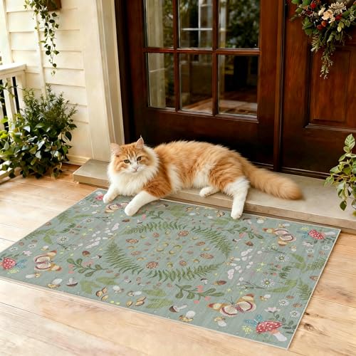 Washable 2x3 Entryway Rug Indoor：Non Slip Backing Door Mat Stain Resistant Low Pile Durable Soft Vintage Butterfly Floral Floor Carpet for Bedroom Kitchen Laundry（Green，2x3） - color: Green, size: 2' x 3' (Runner)
