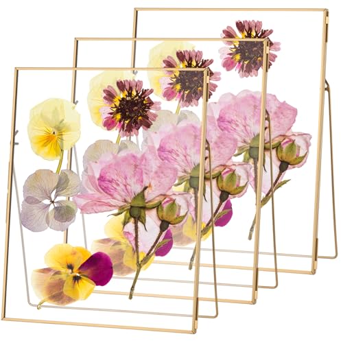 3 Pack Glass Pressed Flower Frame Handmade, 8 x 10 floating Picture Frames for Pressed Flowers, Brass Double Glass for Tabletop Display, Home Office Plant Specimen, Photos(Gold) - color: Gold, size: 8 x 10 Inches