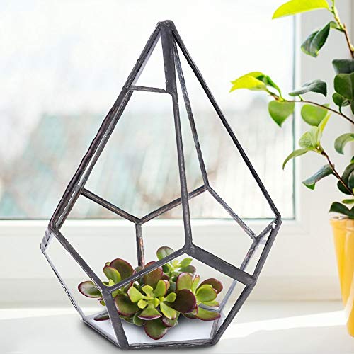 Geometric Glass Terrarium Planter, Glass Geometric Terrarium Container Terrarium Plants Modern Tabletop Planter Shelves Decor Display Succulent Plant Flower Pot Boho Decor (no Plants Included)