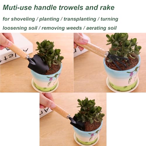 3 Pcs Mini Garden Tools Set Small Tiny Shovel Trowel and Hand Rake with Solid Wood Handle Indoor Gardening Tools for Pot Plants Succulent Bonsai - style: 3PCS Mini Black