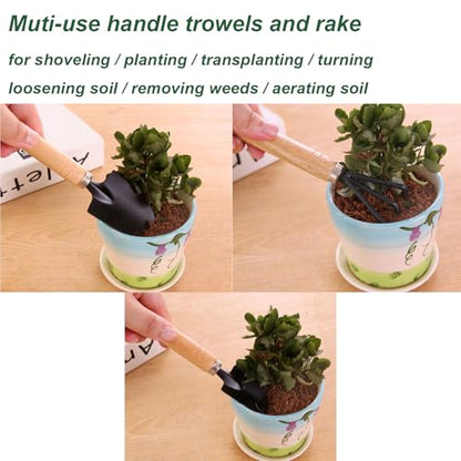 3 Pcs Mini Garden Tools Set Small Tiny Shovel Trowel and Hand Rake with Solid Wood Handle Indoor Gardening Tools for Pot Plants Succulent Bonsai - style: 3PCS Mini Black