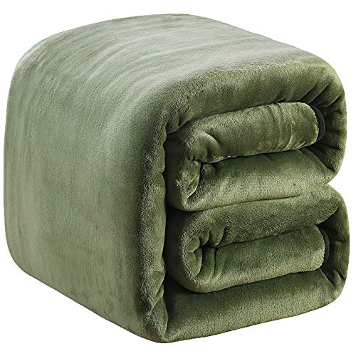 Fleece Blanket Twin Size 350GSM Lightweight Throw for The Bed Extra Soft Brush Fabric Super Warm Sofa Blanket 66" x 90"(Green Twin) - color: Green, size: Twin (90-Inch-by-66-Inch)