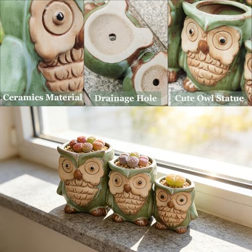 Cute Owl Planter, Small Funny Succulent Pots, Unique Decorative Animal Statue Ceramics Plant Pot for Indoor/Outdoor Home Office with Drainage, Owl Gifts for Women Mother Teacher, Three Owls